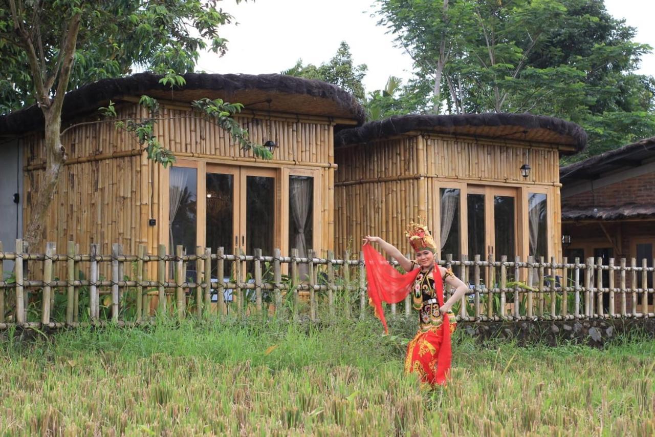 Hotel Sawah Ijen Licin Zewnętrze zdjęcie