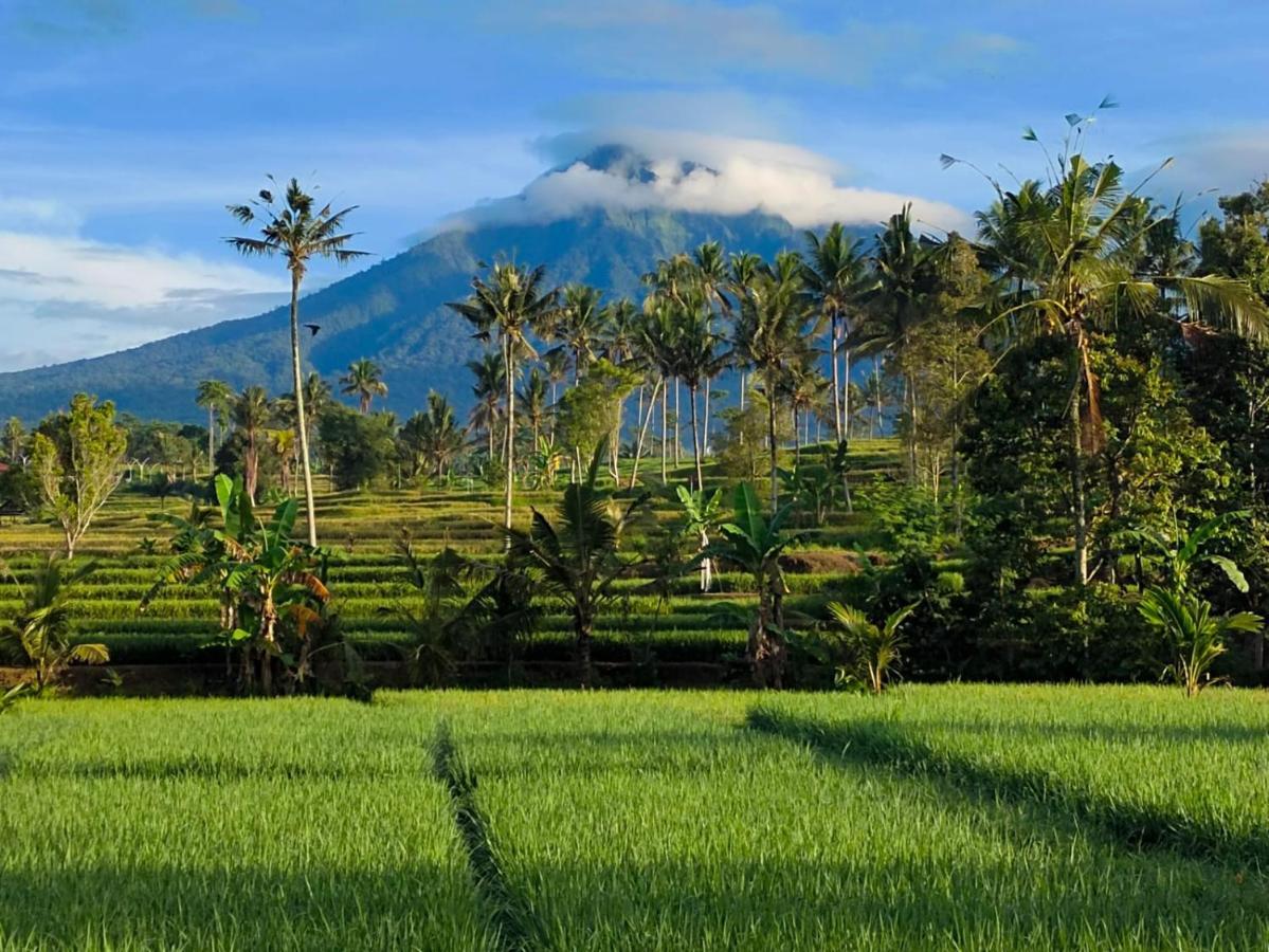 Hotel Sawah Ijen Licin Zewnętrze zdjęcie