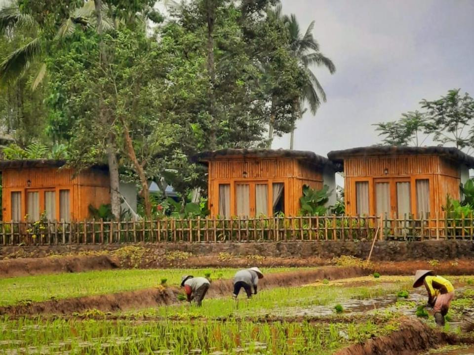 Hotel Sawah Ijen Licin Zewnętrze zdjęcie