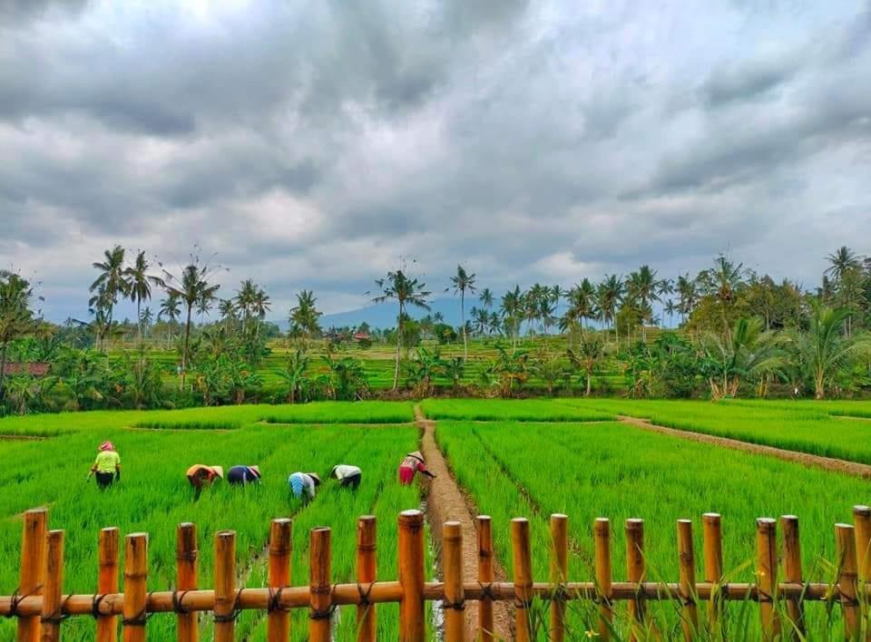 Hotel Sawah Ijen Licin Zewnętrze zdjęcie